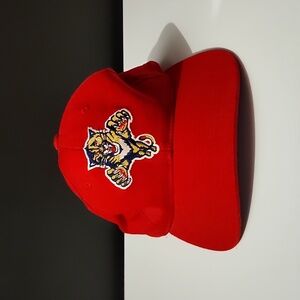 Vintage Florida Panthers STARTER Cap